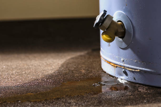 Best Flood damage cleanup  in Peekskill, NY