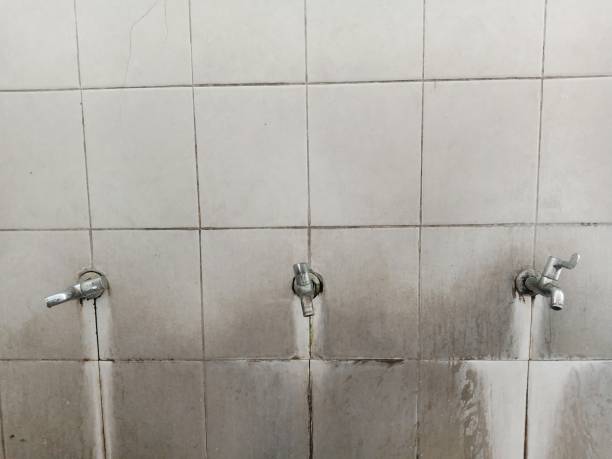 Best Emergency water extraction  in Peekskill, NY